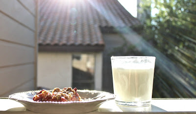 Strawberry Oatmeal Bars