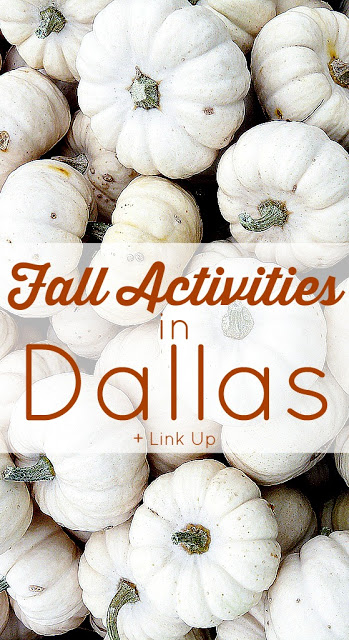 Things to do this fall in dallas