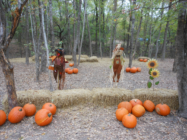 Things to do this fall in dallas