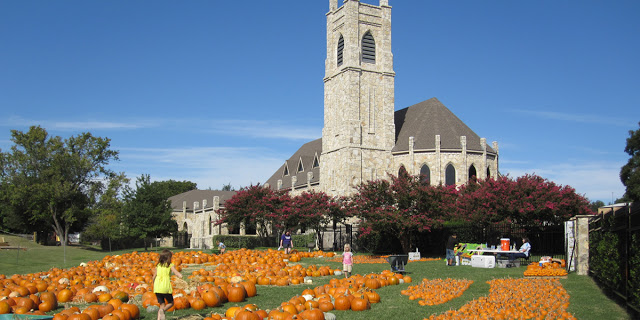 Things to do this fall in dallas