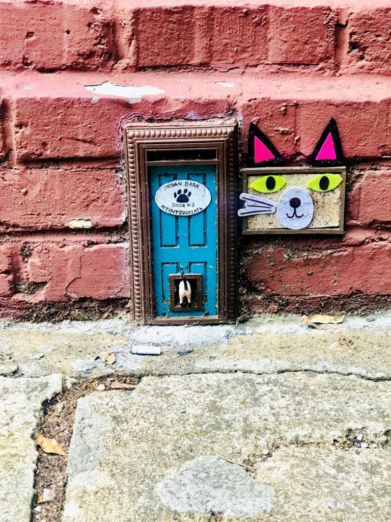 Tiny Doors ATL