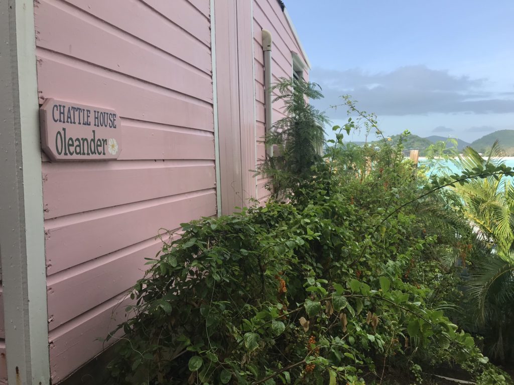 cocobay resort antigua